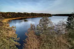 Jezioro Wojnowskie: Niskie opłaty za wędkowanie i regulacje