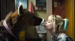 Pełna obsada Ptaków Nocy: aktorzy, którzy wcielili się w role