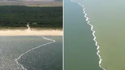 Dlaczego Bałtyk jest słony? Odkryj zaskakujące przyczyny salinity