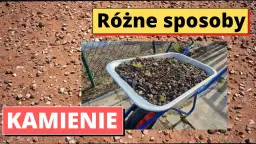 Gdzie wyrzucić kamienie? Poznaj najlepsze sposoby na utylizację