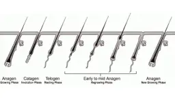 Jak długo odrastają rzęsy po przedłużaniu? Odkryj ważne fakty