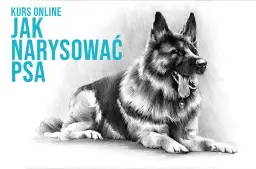 Proste sposoby jak narysować owczarka niemieckiego krok po kroku dla początkujących