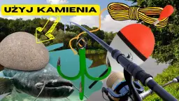 Wędka na suma z brzegu: Jak wybrać idealną? Poradnik