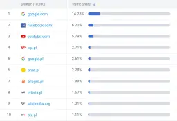 Tabela z rankingiem najczęściej odwiedzanych stron internetowych, z podziałem na domeny i udział w ruchu.