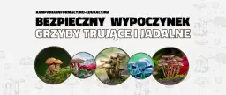 Grzybobranie: Bezpieczny poradnik survivalowy. Jadalne czy trujące?