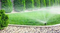 Nawadnianie kropelkowe czy zraszacze? Wybierz idealny system do ogrodu