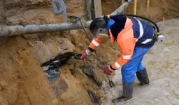 Bioremediacja - na czym polega ten rodzaj remediacji?