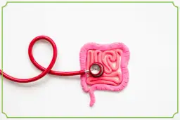 Model jelit z plasteliny z czerwonym stetoskopem.