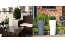 Co posadzić w wysokich donicach? Odkryj najlepsze rośliny do ogrodu