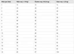 Wiek szczeniaka: jak go ocenić? Zęby, rozwój, zachowanie
