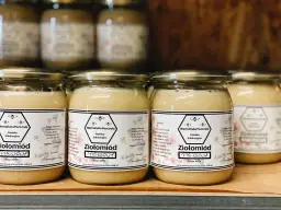 Co zjeść w Olsztynie? Odkryj smaki Warmii i Mazur, które zaskoczą