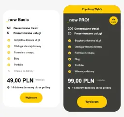 Ile kosztuje postawienie strony internetowej? Zobacz, co wpływa na cenę