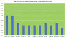 Ceny skupu żywca wieprzowego (styczeń 2026): Czy zarobisz więcej?
