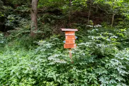 Rezerwat przyrody Cicha Dolina: unikalna oaza przyrody w Polsce