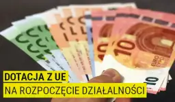 Ile można dostać dofinansowania na firmę? Sprawdź dostępne opcje