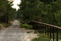 Gdańsk Krynica Morska: Ile km, jak dojechać i uniknąć korków?