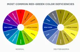 Jak daltonista widzi czerwony kolor? Zaskakujące różnice w percepcji
