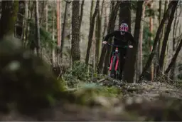 Najlepsze trasy rowerowe w Roztoczańskim Parku Narodowym – odkryj przygodę