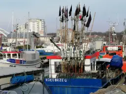 Gdzie kupić świeże ryby w Kołobrzegu? Sprawdź najlepsze miejsca