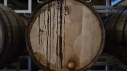 Wino nie pracuje? Przyczyny i jak wznowić fermentację