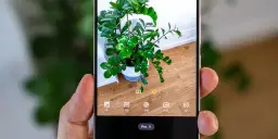 Uchwyć piękno rośliny za pomocą fotografii mobilnej. Ekran telefonu pokazuje zieloną roślinę w doniczce i opcje aparatu.