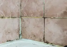 Czarna pleśń z silikonu pod prysznicem: usuń ją raz na zawsze!