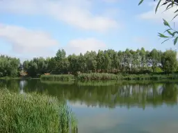 Łowisko Krzekotowo: najlepsze miejsce na wędkowanie bez stresu