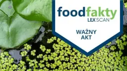 Rzęsa wodna: superfood przyszłości? Poznaj jej moc i bezpieczeństwo