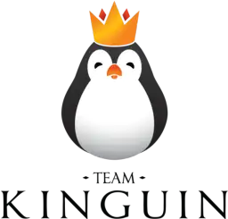 Team Kinguin: Wzloty i upadki polskiej legendy e-sportu