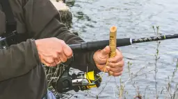 Wie oft Angelschnur wechseln: Vermeide teure Fehler beim Angeln