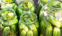 Czy ogórki kiszone trzeba pasteryzować? Odkryj prawdę o kiszeniu