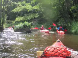 Spływy kajakowe Wieprz – trasy, trudności, ceny i malownicze widoki