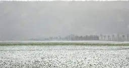 Krzysztof Klimek: malarstwo, styl i ceny. Czy warto inwestować?