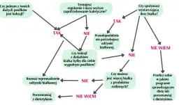 Białko w diecie wege: Jak bilansować bez niedoborów? Poradnik