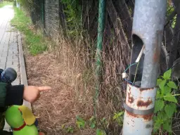 Kto odpowiada za oświetlenie ulic i jak zgłaszać problemy?