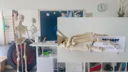 Dwa szkielety w gabinecie fizjoterapii, jeden trzyma wizytówkę.