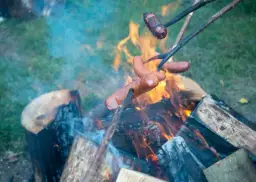 Ognisko w lesie: Czy to legalne? Zasady, kary, bezpieczeństwo