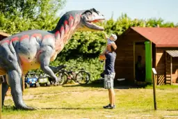 Najlepsze atrakcje w Karwi, które musisz zobaczyć na wakacjach