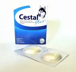 Odrobaczanie psa: Co 3-6 miesięcy? Pełny przewodnik dla właściciela