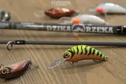 Przynęty na jazia spinning: Woblery, gumy i obrotówki [Sprawdzony wybór]