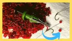 Pellet ochotka na jakie ryby – skuteczne przynęty i metody wędkarskie