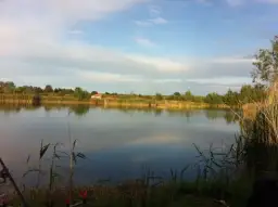 Łowisko karpiowe Chwałowice – idealne miejsce na udany połów ryb