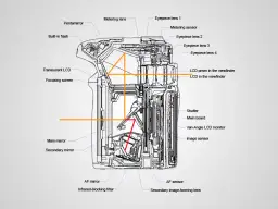 Jak działa lustrzanka dwuobiektywowa? Budowa i mechanizm TLR