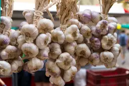 Jak suszyć czosnek? Sprawdzone metody i techniki przechowywania