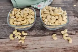 Czy koty mogą jeść orzechy nerkowca? Sprawdź, co może zaszkodzić