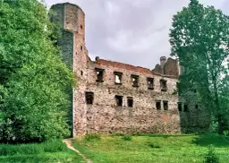 Ruiny zamku w Drzewicy: Historia, atrakcje i tajemnice, które musisz znać