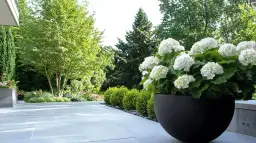 Rośliny do wysokich donic: Stwórz arcydzieło w ogrodzie!