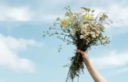 Magiczne zioła, które dodadzą dziczynie niepowtarzalnego smaku i aromatu