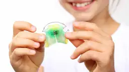 Aparat ruchomy dla dziecka: budowa, kolory i jak zachęcić?