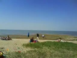 Najciekawsze atrakcje w Tolkmicku, które musisz zobaczyć